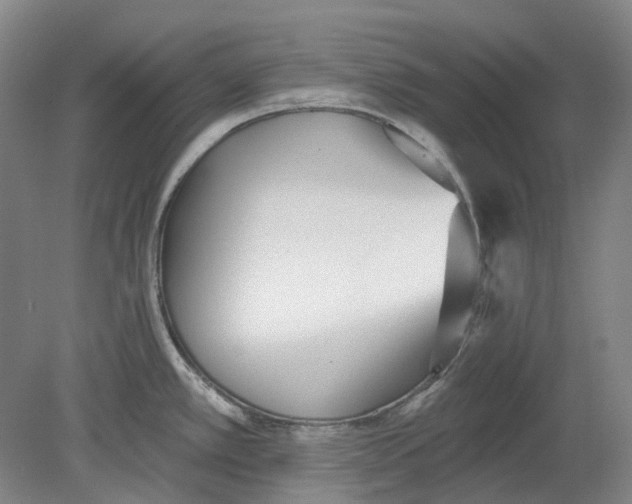 X0000080771389200701051250