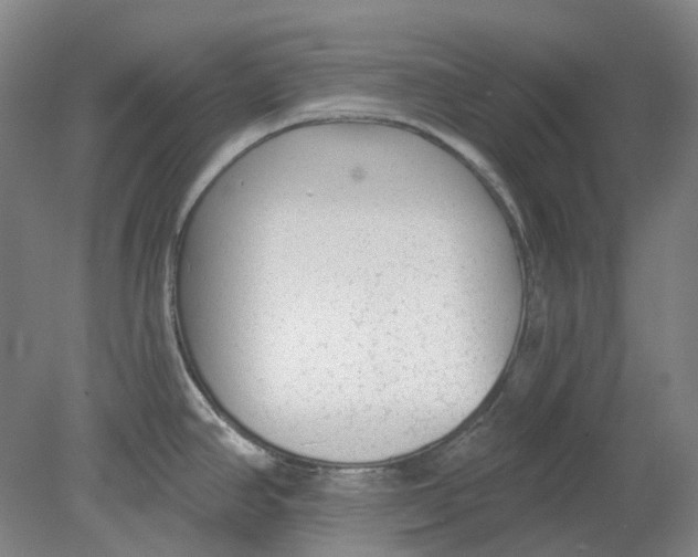 X0000080771390200701051250