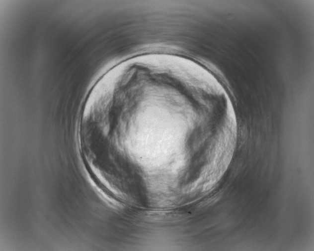 X0000080771391200701051250