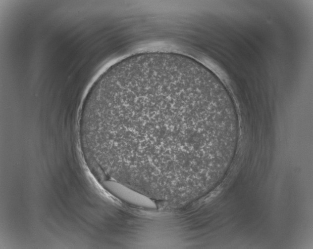 X0000080771392200701051250