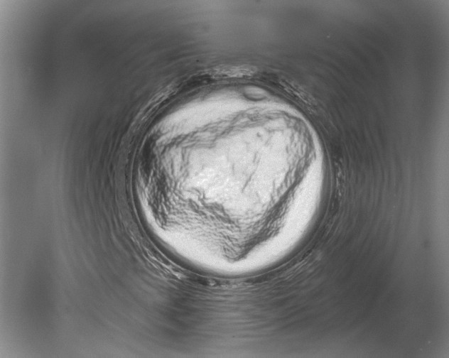 X0000080771393200701051250