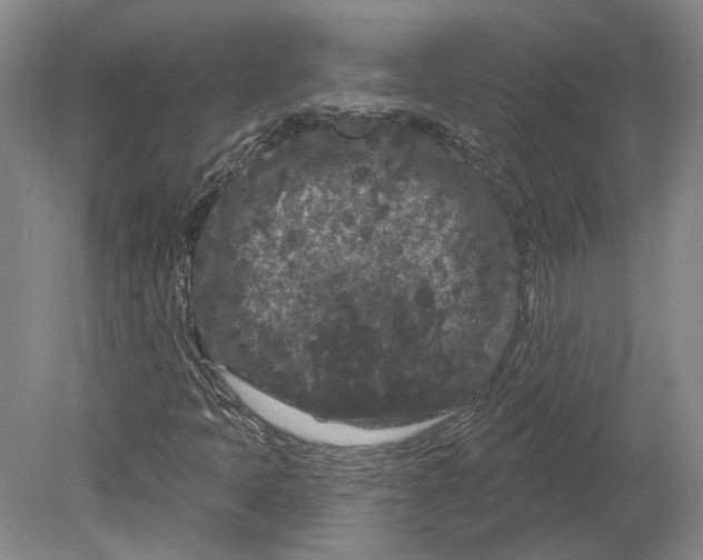 X0000080771397200701051250