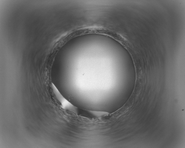 X0000080771398200701051250