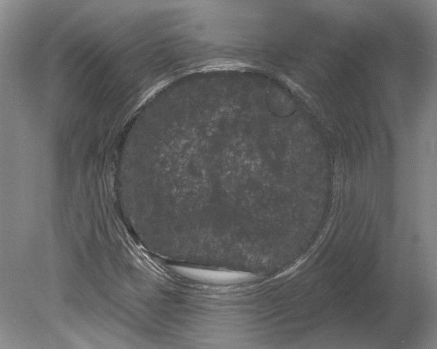 X0000080771401200701051250