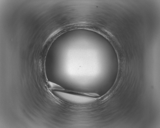 X0000080771402200701051250