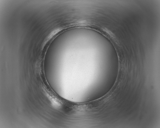 X0000080771410200701051250