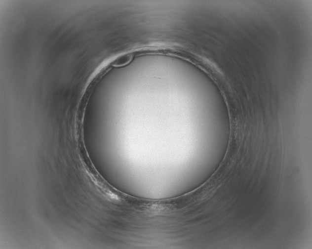 X0000080771412200701051250