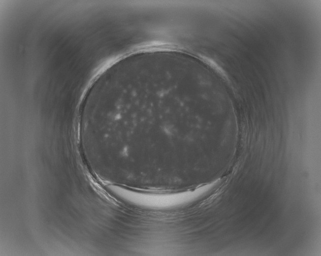 X0000080771413200701051250