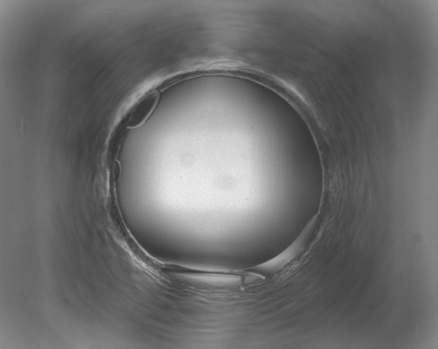 X0000080771414200701051250