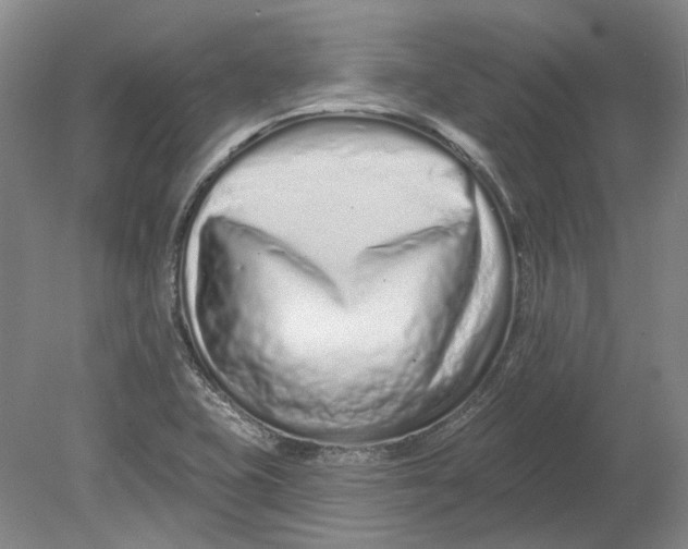 X0000080771415200701051250