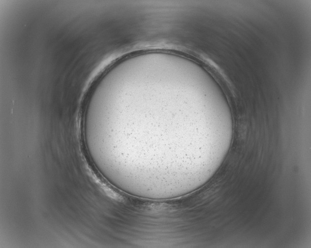 X0000080771416200701051250