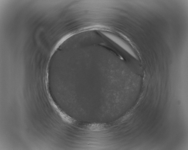 X0000080771418200701051250