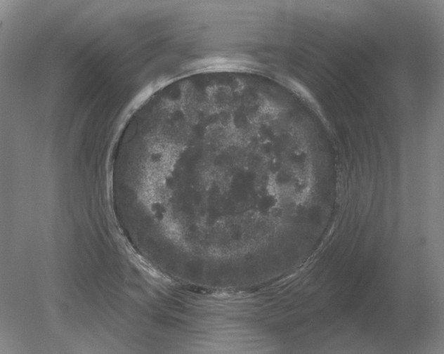 X0000080771419200701051250