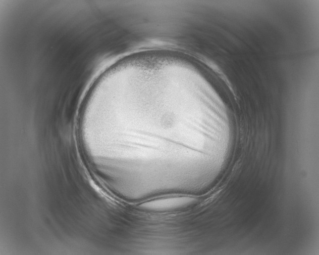 X0000080771421200701051250