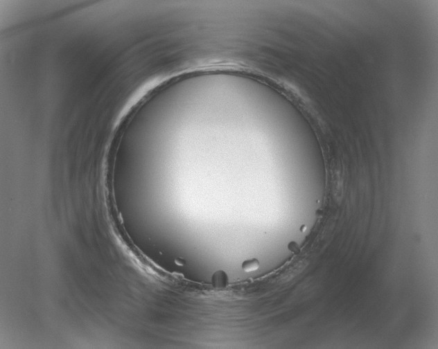 X0000080771422200701051250