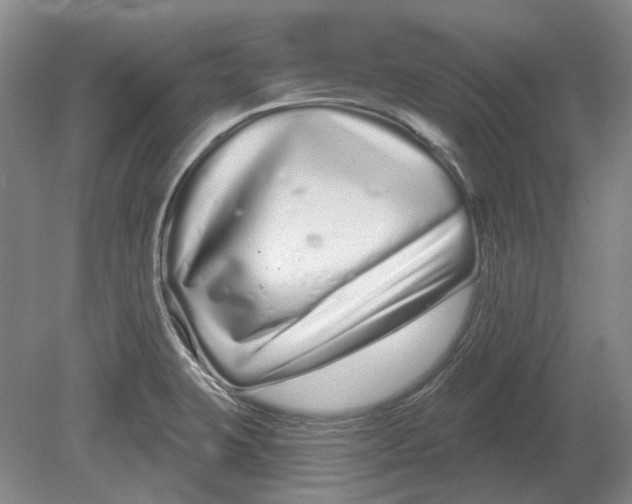 X0000080771423200701051250