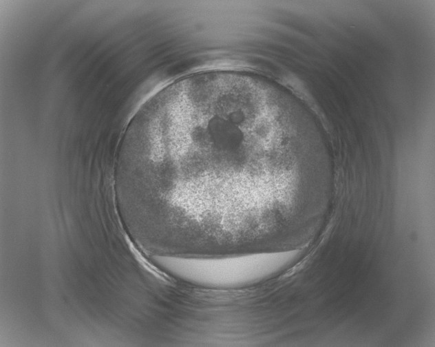 X0000080771425200701051250