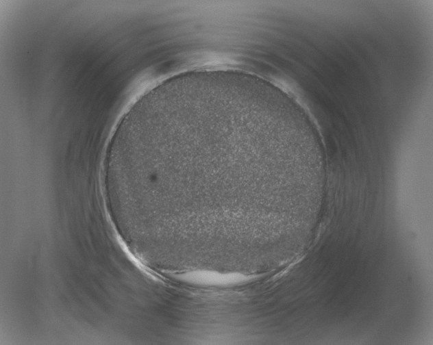 X0000080771429200701051250