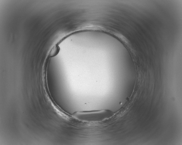 X0000080771430200701051250