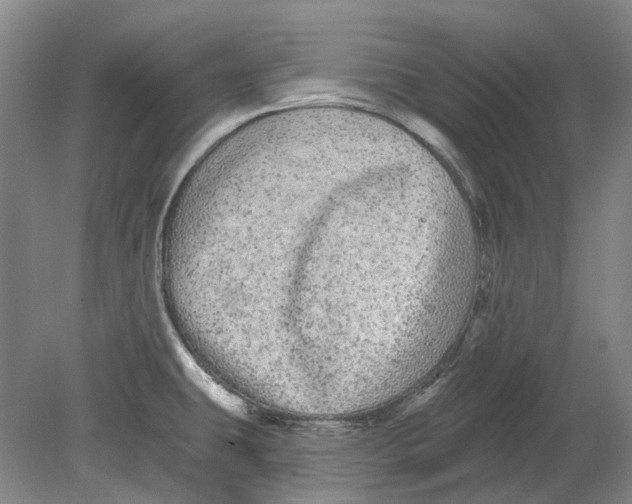 X0000080771431200701051250