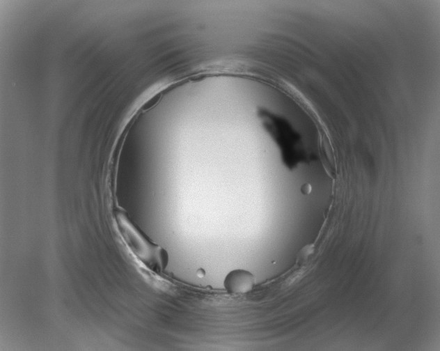 X0000080771434200701051250