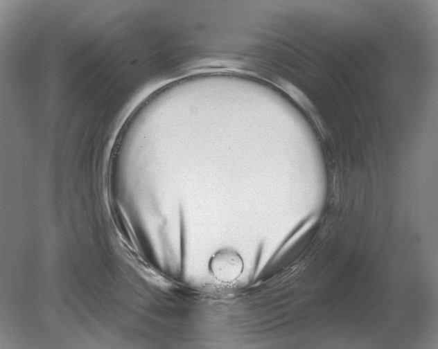 X0000080771435200701051250