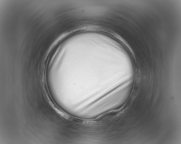 X0000080771437200701051250