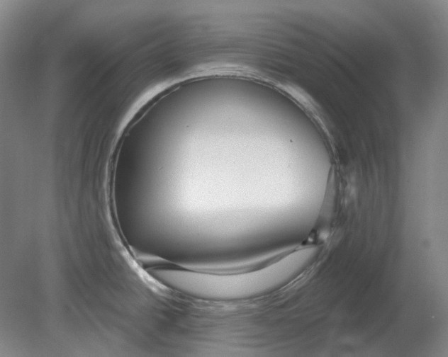 X0000080771438200701051250