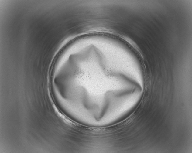 X0000080771439200701051250