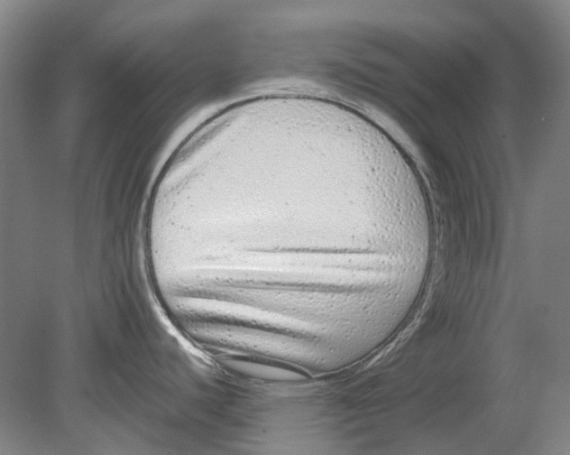 X0000080771440200701051250