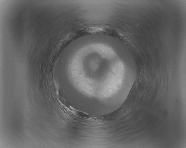 X0000080771441200701051250