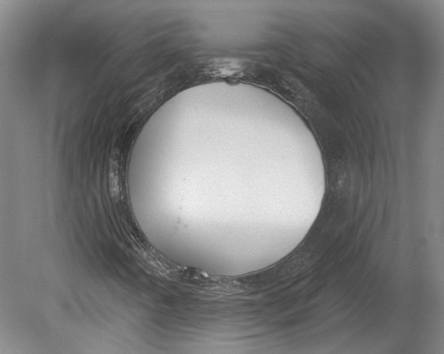 X0000080771442200701051250