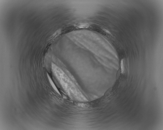 X0000080771443200701051250