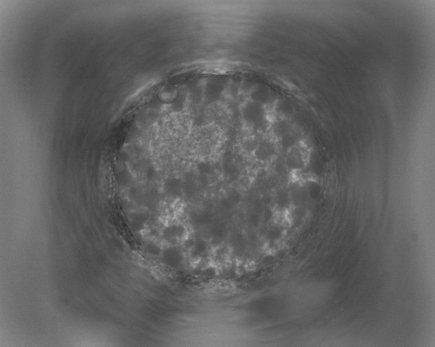 X0000080771446200701051249