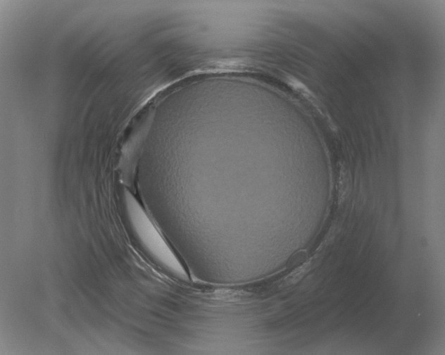 X0000080771449200701051249