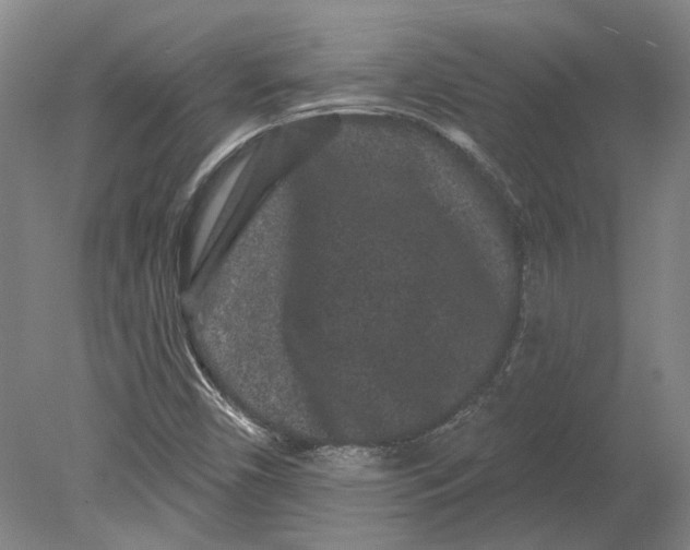 X0000080771450200701051249