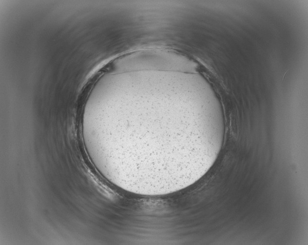 X0000080771452200701051249