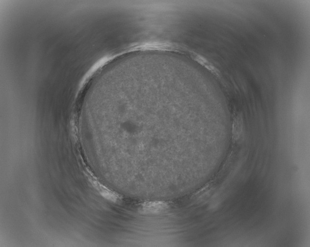 X0000080771454200701051249