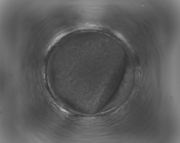 X0000080771455200701051249