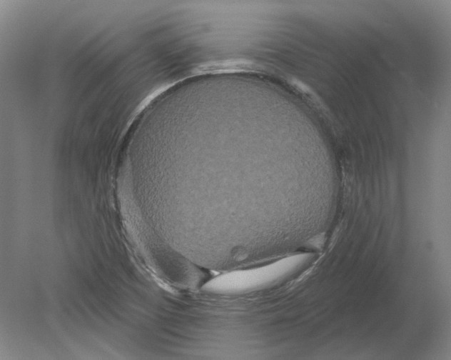 X0000080771457200701051249