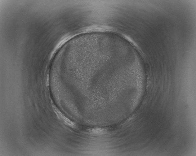 X0000080771459200701051249