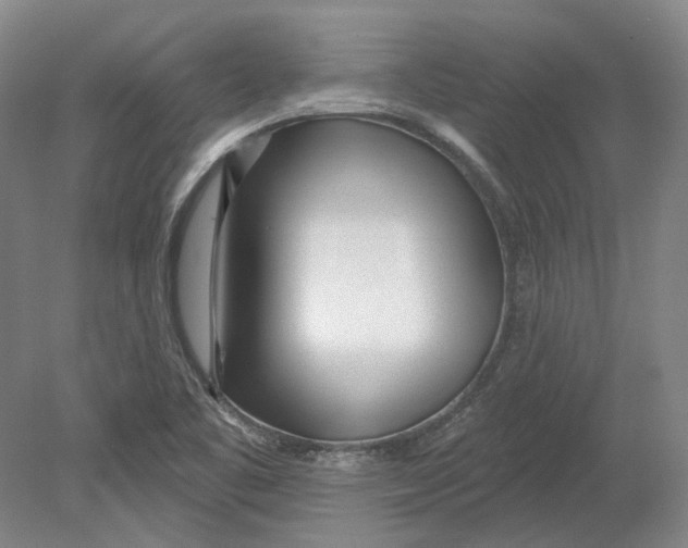 X0000080771461200701051249