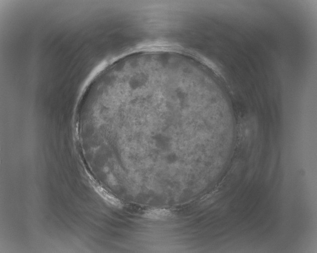 X0000080771462200701051249