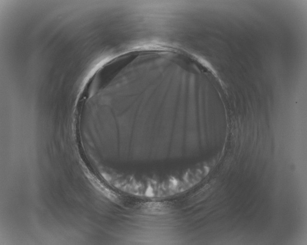 X0000080771463200701051249