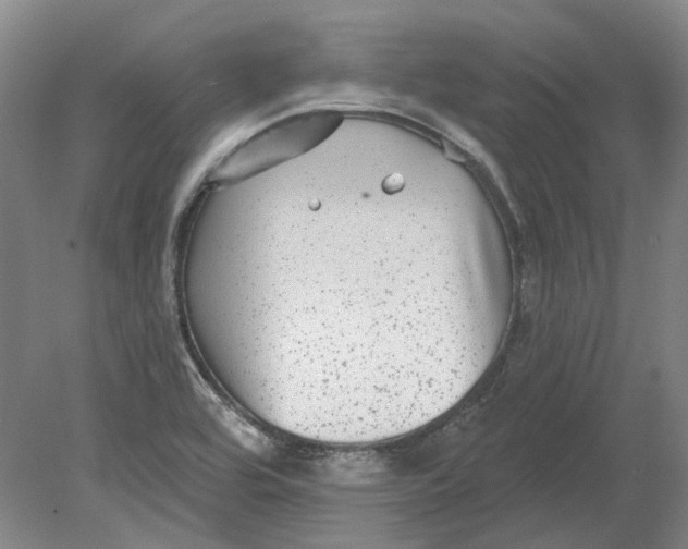 X0000080771464200701051249