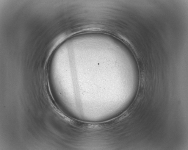 X0000080771467200701051249