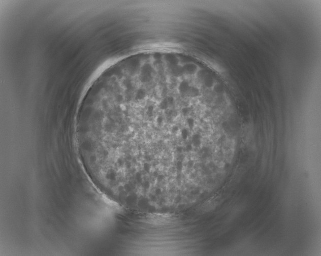 X0000080771470200701051249