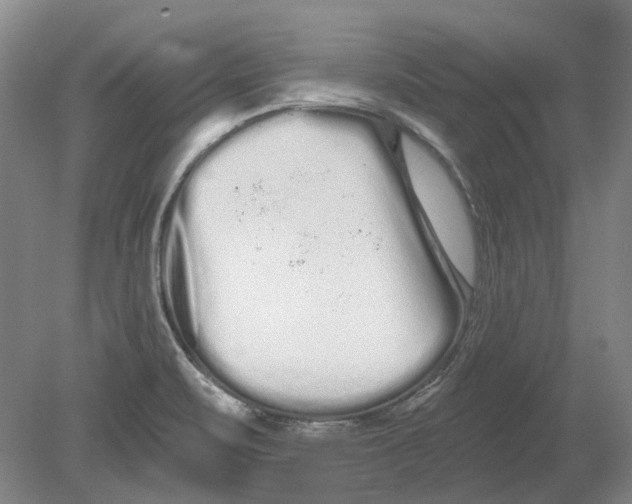 X0000080771471200701051249