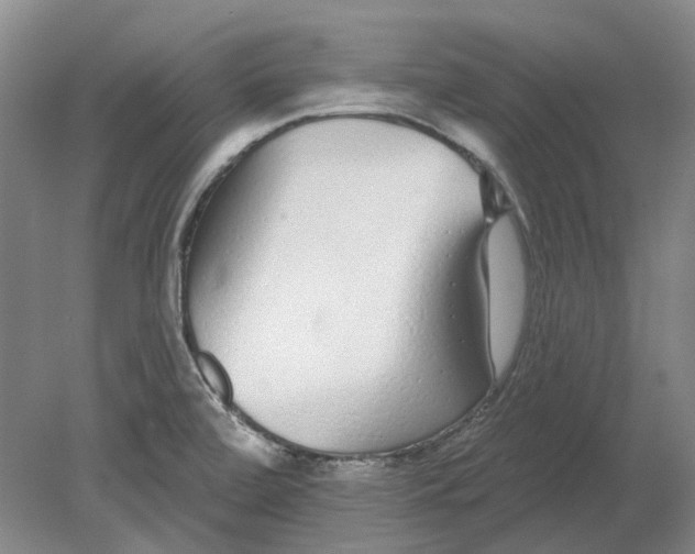 X0000080771472200701051249