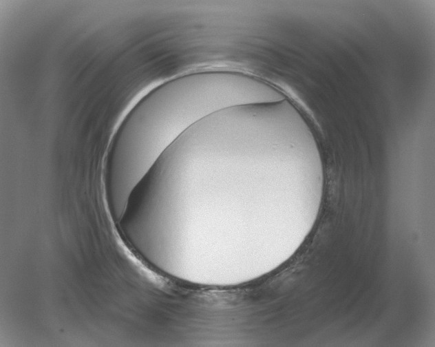 X0000080771476200701051249